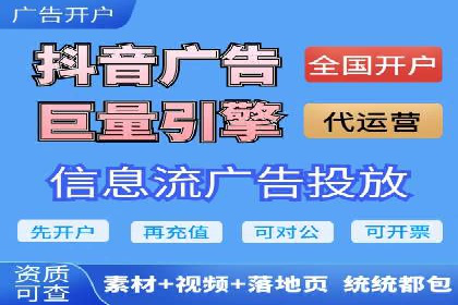百度竞价与搜索引擎优化（SEO）结合的经典案例